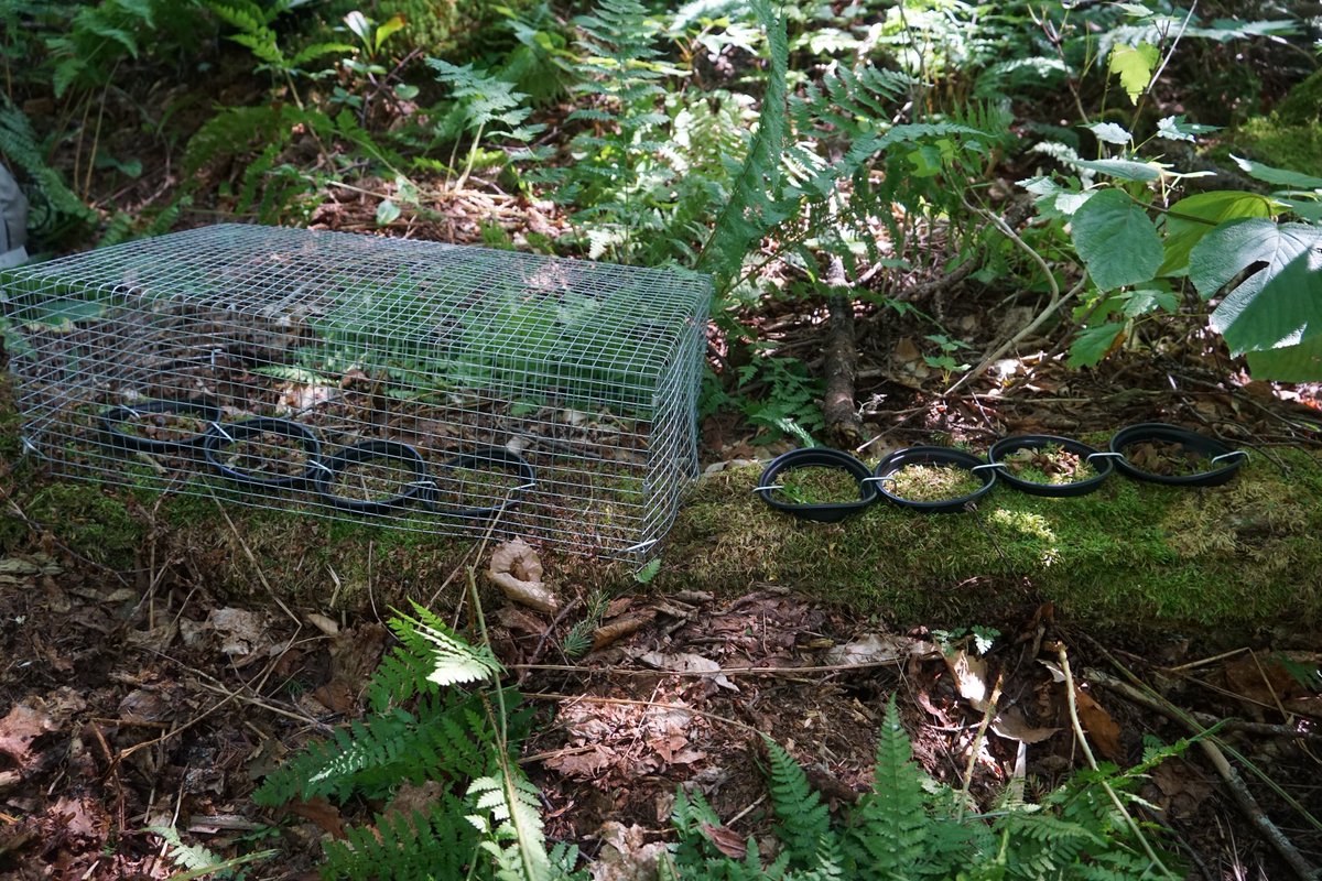 Martin Dovciak🌱🌻🌳 tweet media