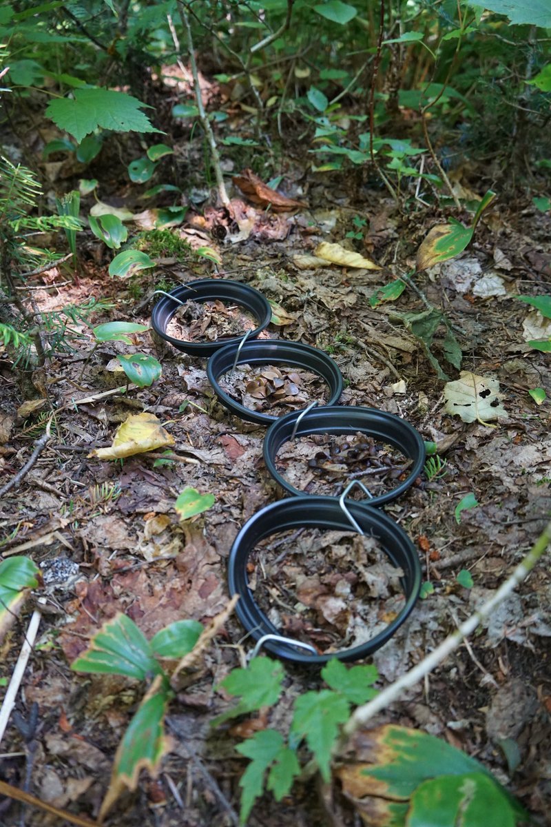 Martin Dovciak🌱🌻🌳 tweet media