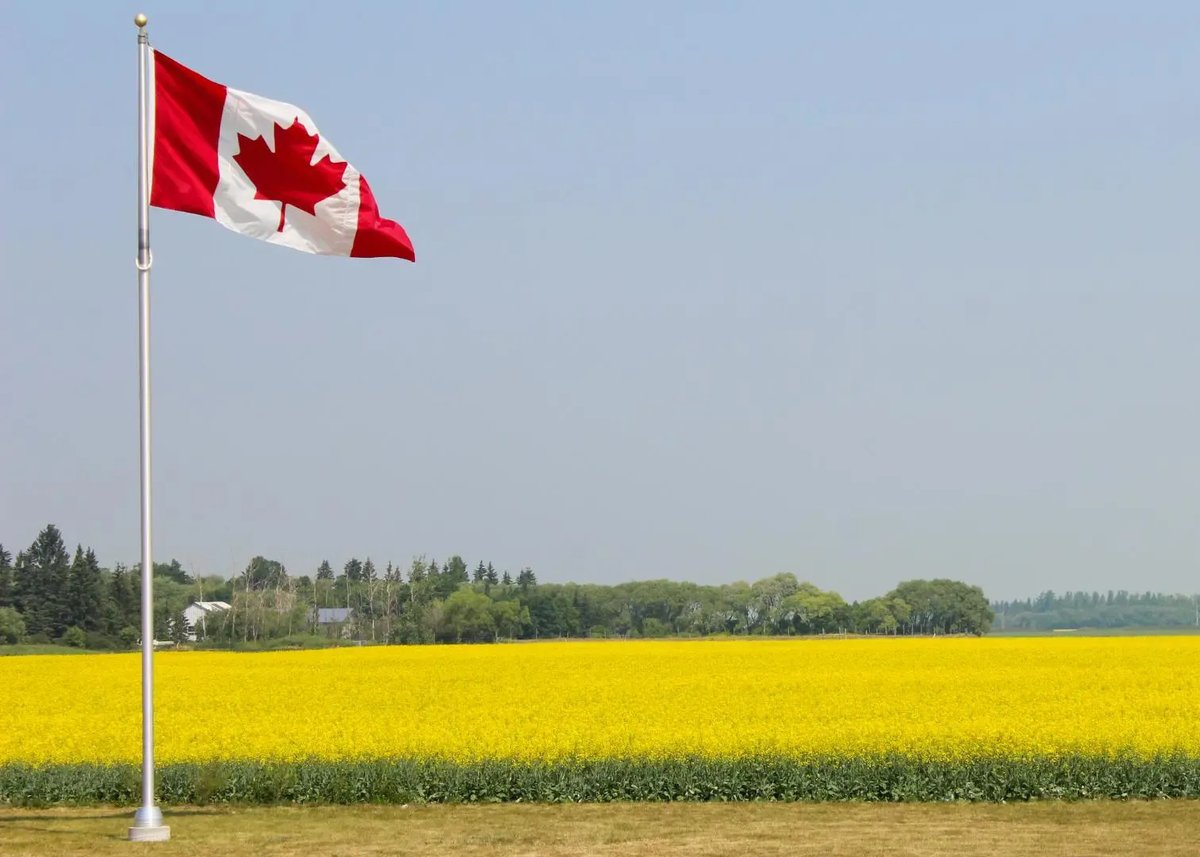 China recently announced tariffs on Canadian canola seeds. Should Canada escalate the trade war, or is there an alternative that will be of far greater benefit to the Canadian economy? Associate prof Werner Antweiler explores in his latest blog.

bit.ly/4nbTVOY