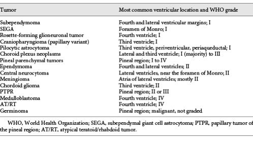 Ohud Alharbi tweet media