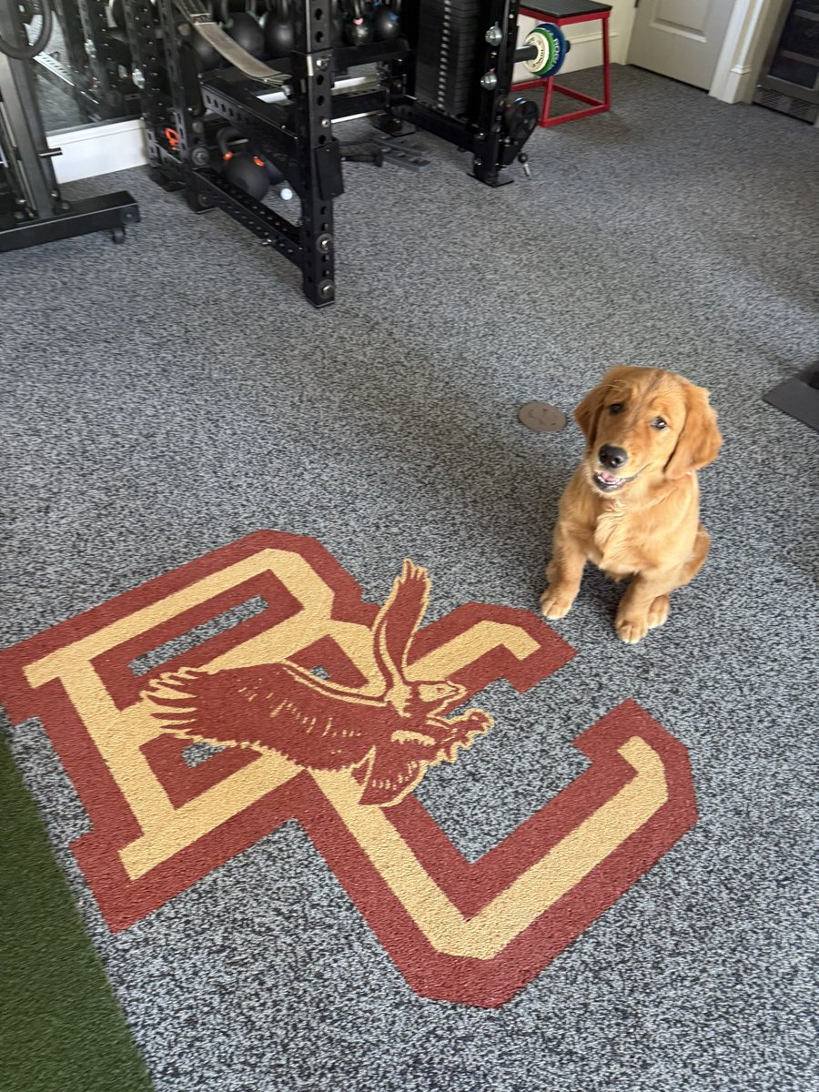 Joseph Locker tweet media