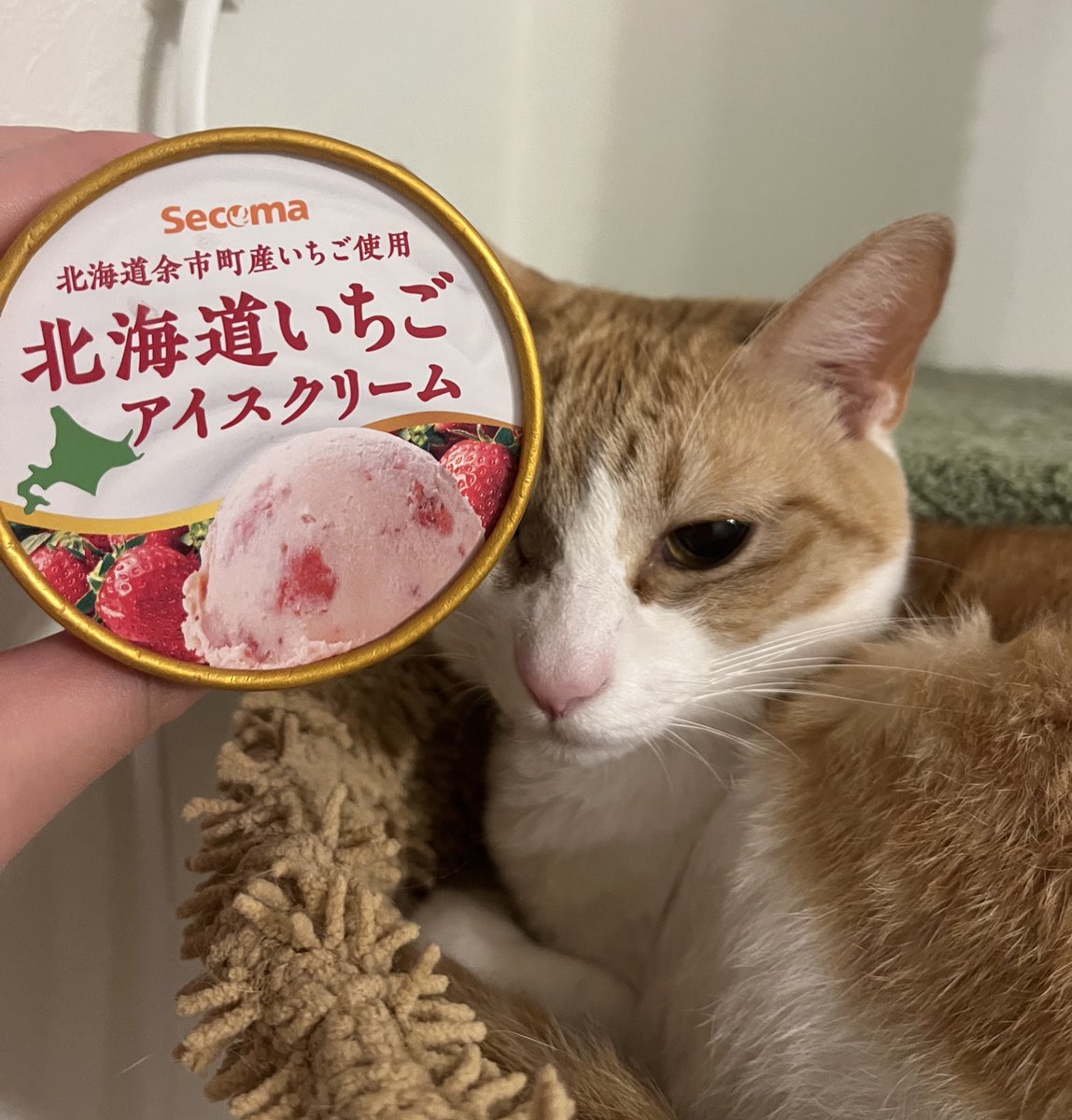 この時間だけど…🍓🥰🍨