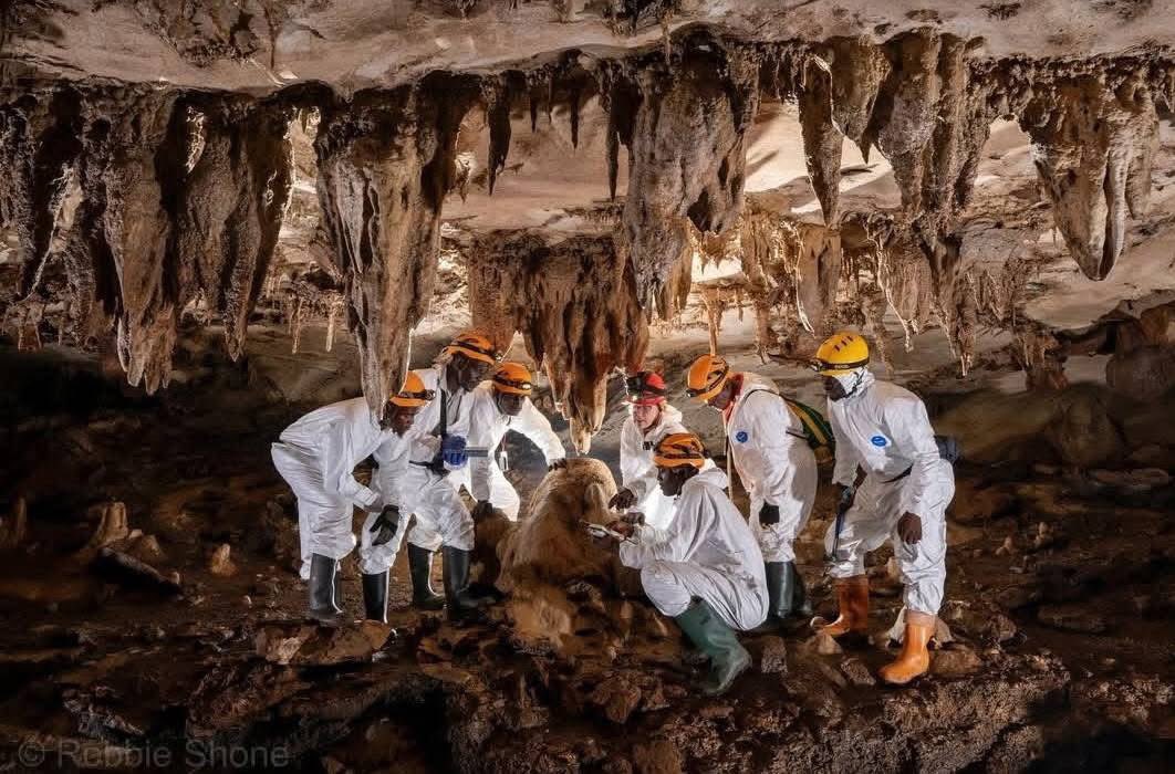 culture241's tweet photo. La grotte de Dengui à Lebamba 🇬🇦

GABON 💚💛💙

📸 Robbie Shone Photography https://t.co/XcE9EzB3wo