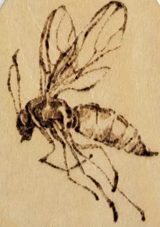 SilverBirchPres's tweet photo. "Gnat In Your Wine Glass," poem by Camilla Norvaisas @Camillepoetry (BUGS &amp; INSECTS Series): https://t.co/X9E9prFCMm
#poetry #poems #poets #gnats #wine https://t.co/2vsSotsB8q