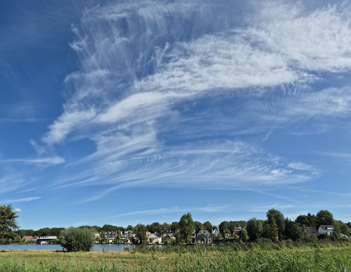 N_Heij's tweet photo. #acloudaday vandaag in Uithoorn. Halo en cirrus. https://t.co/nwfB9CtYDS