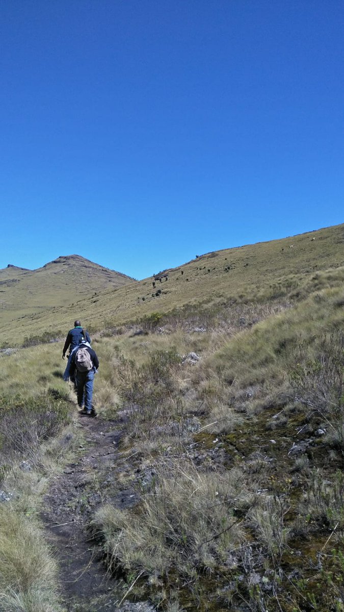 I can only remember the best network at that time was ' Zain- A wonderful world' before it turned better to <a href="/AIRTEL_KE/">Airtel Kenya</a> . I don't their current slogan though.