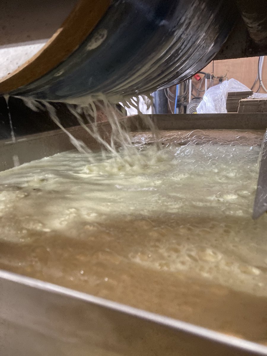 tuttsclumpcider's tweet image. Five tonnes of local apples (which would otherwise be wasted) pressed today producing 3,000 litres of juice 🍎🍏 #dontwastethem #recycle #propercider