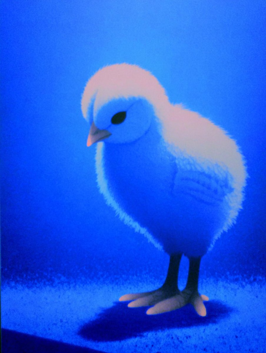 Alban Glazman tweet media