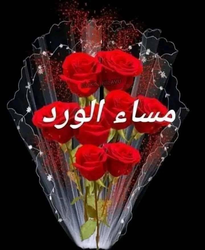 عبدالرحمن عبده احمد (@7hdv6bevd1o2d7w) on Twitter photo 