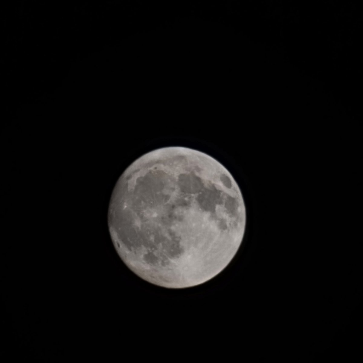 TalibDuhoki's tweet photo. Taken by me just now...
#Moon 
#Fullmooneffect  #moonflower  
#S21ULTRA 
#JoongDunk 
#VoleiNoSporTV 
#WilliamEst https://t.co/vYaTsIA132