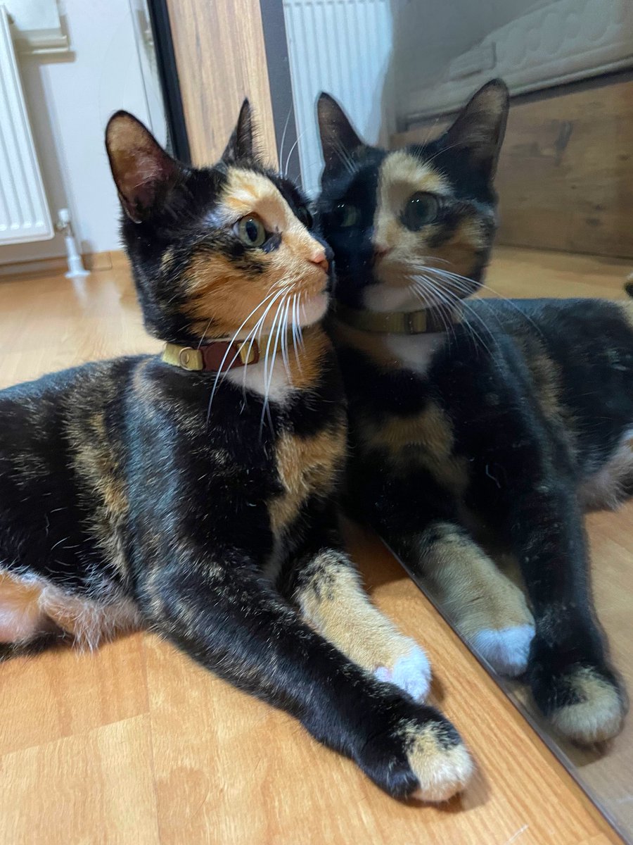 BEM KİMİM VE BEMDEM NE İSTİYORUM ?!?