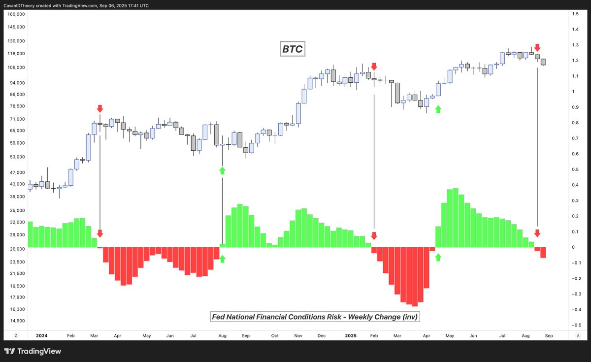 Bulls, I wish you all the best