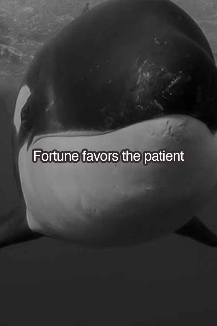 It's not easy, but patience often pays off.
Have an $orcasm'ic weekend, pod!