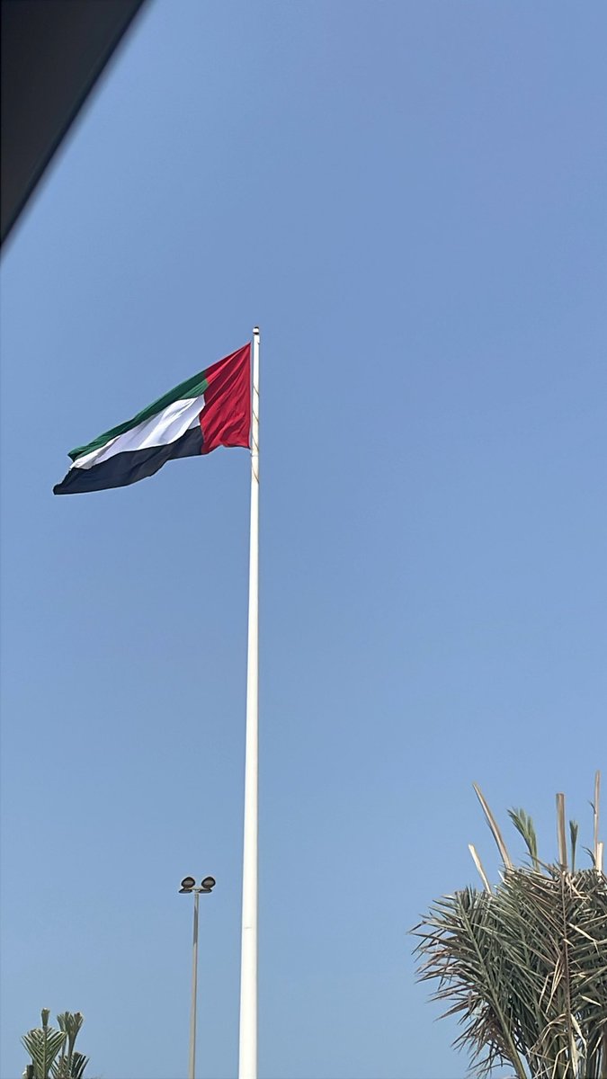 cc3vi's tweet image. ❤️🧷