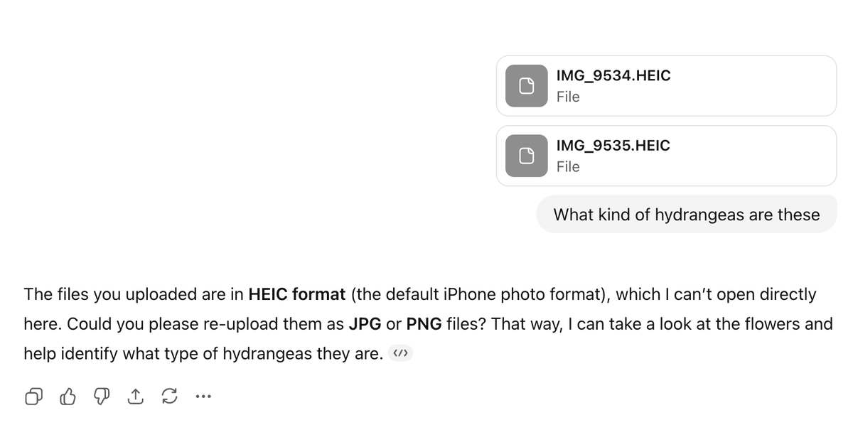 Alex Cook tweet media