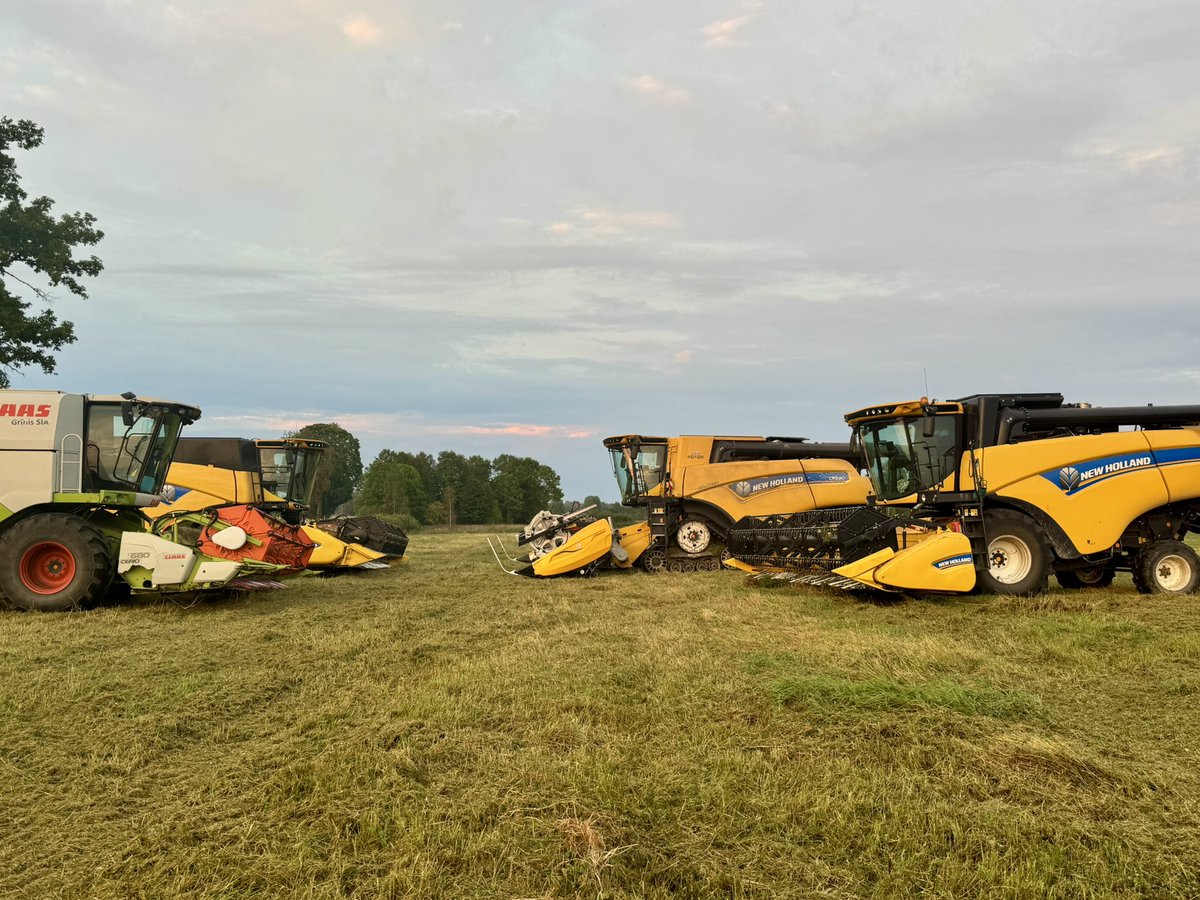 After a day harvesting peas 🫛 
Slow 🐌 harvesting 🤦🏻‍♂️
Early fog 🫧  and much gras 🌱
