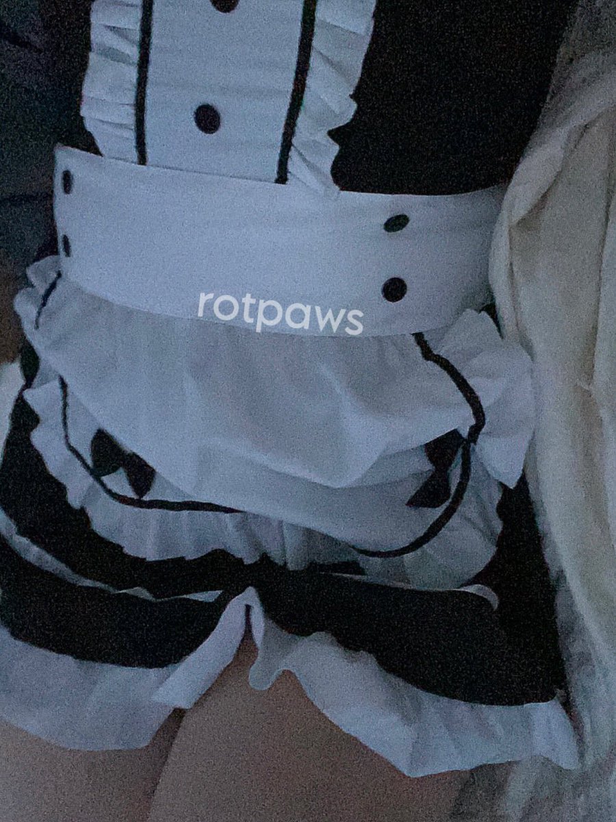 colt 𐂯 (tip goal: $25/100). tweet media