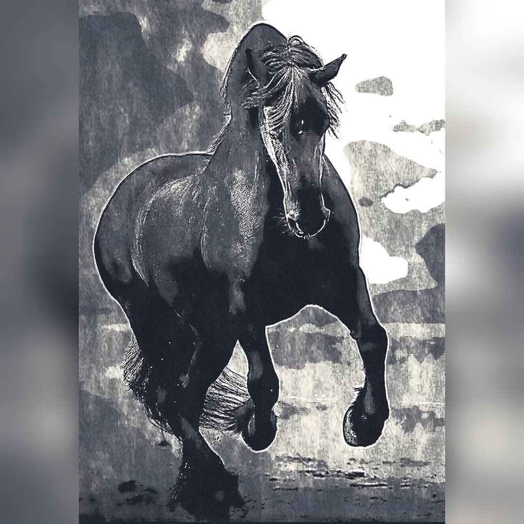 AlexStayl's tweet photo. .
.
#pretty #ilovemyhorse #jockey #horseshow #mane #grass #rider #wild #intags #horsesofinstagram #instahorses #horses #pony #babyhorse #nature #riding #horsestagram #smile #riders #horseshoe #field #farm #instagood #gallop #horse #ponies #beautiful #horses_of_instagram #animals https://t.co/gyIy15HODy