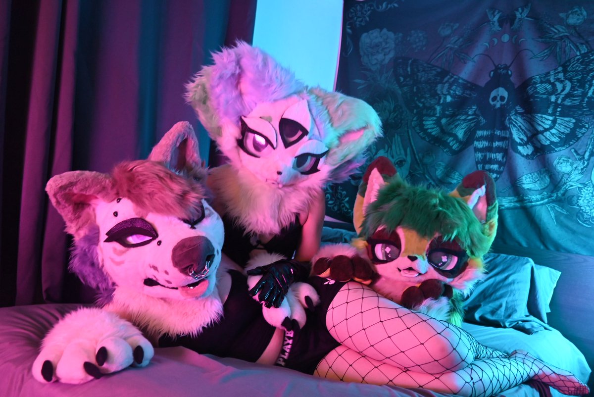 Three cuties in ya room, what ya gonna do~ 

<a href="/Tilly_AD/">Tilly</a> <a href="/CooperVapourAD/">Sam</a> 

#nsfwtwt #furrynsfw #furryporn #yiff #furryyiff #murrsuiter #murrsuiters #sexyfurries