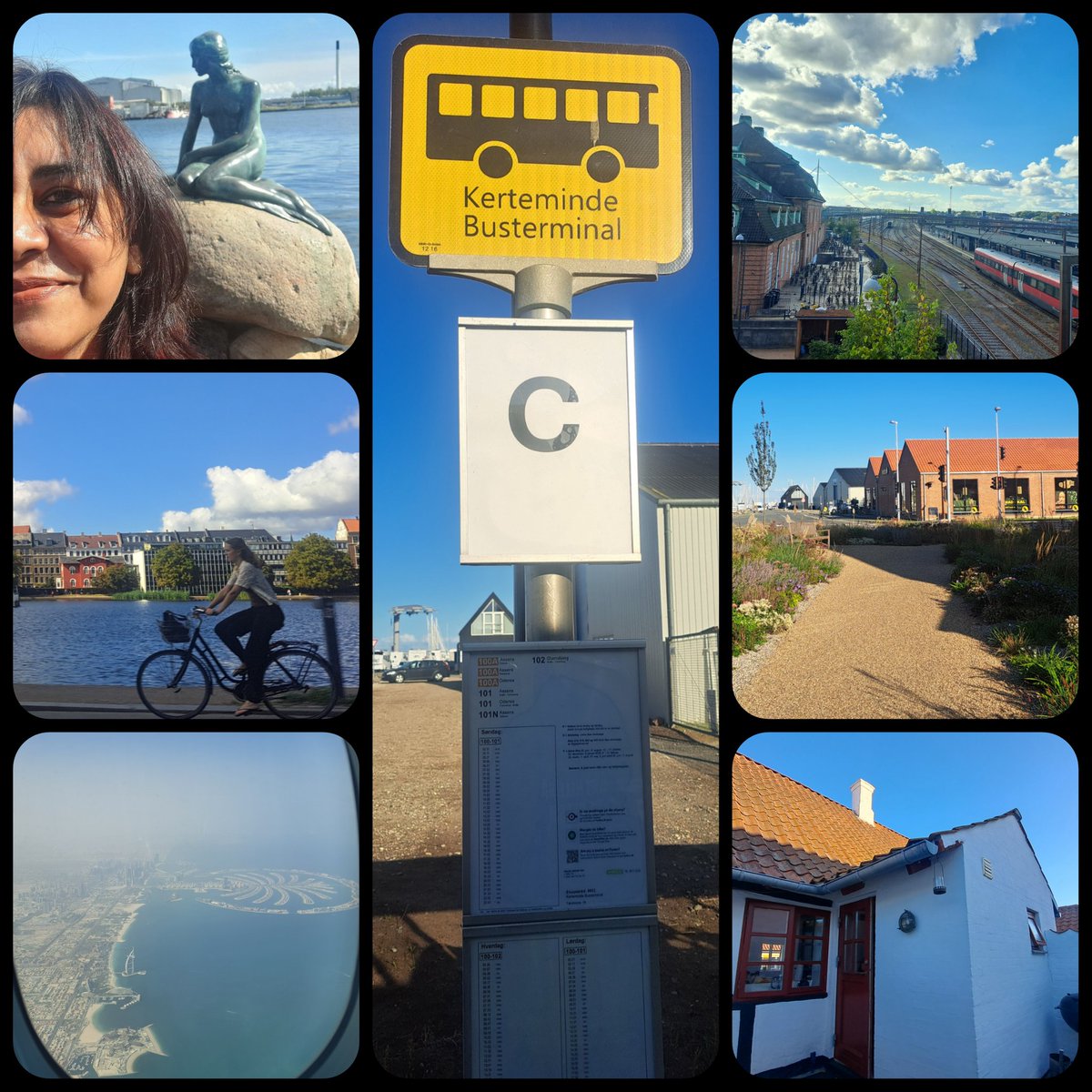 Manjari Jain tweet media