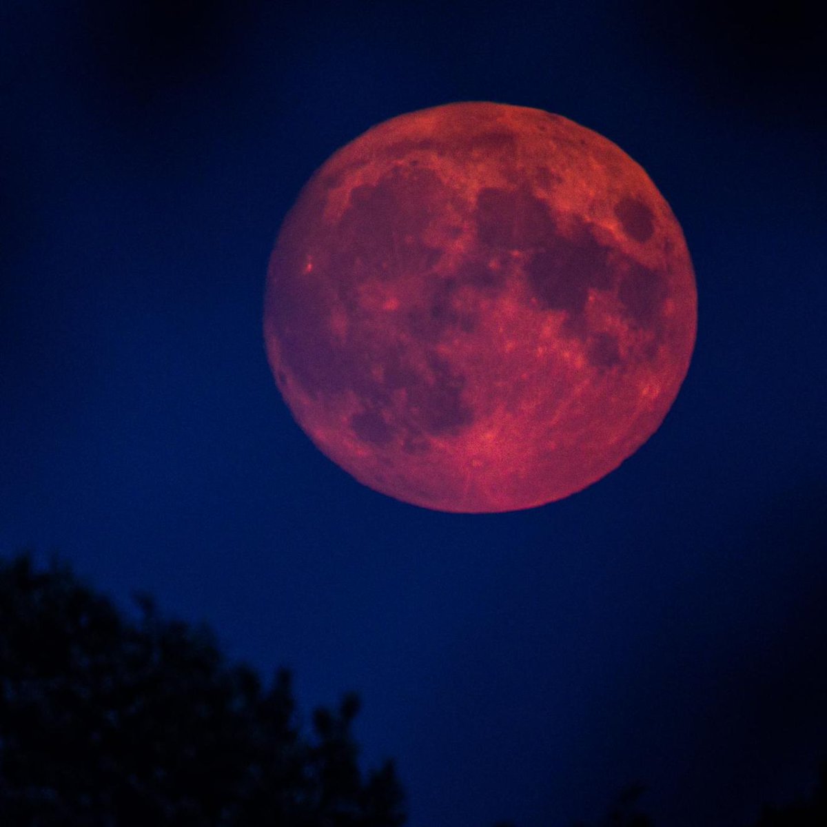 Morgen Abend können wir Zeugen eines besonderem und  seltenen Schauspiels am Himmel werden . Dank totaler Mondfinsternis verwandelt sich der Vollmond in einem Blutmond.
Also ab 19:30 Uhr raus &amp;zum Himmel schauen.Möge das Wetter mitspielen.
#Vollmond
#Blutmond
#Mondfinsternis