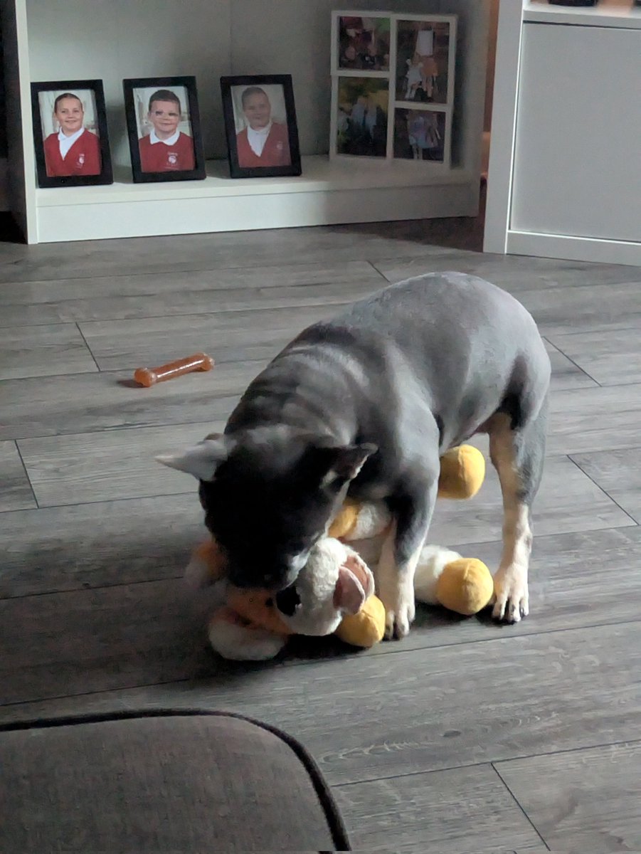 I wish <a href="/Butlins/">Butlin's</a> did meet and greets for dogs my dog absolutely loves rainbow
