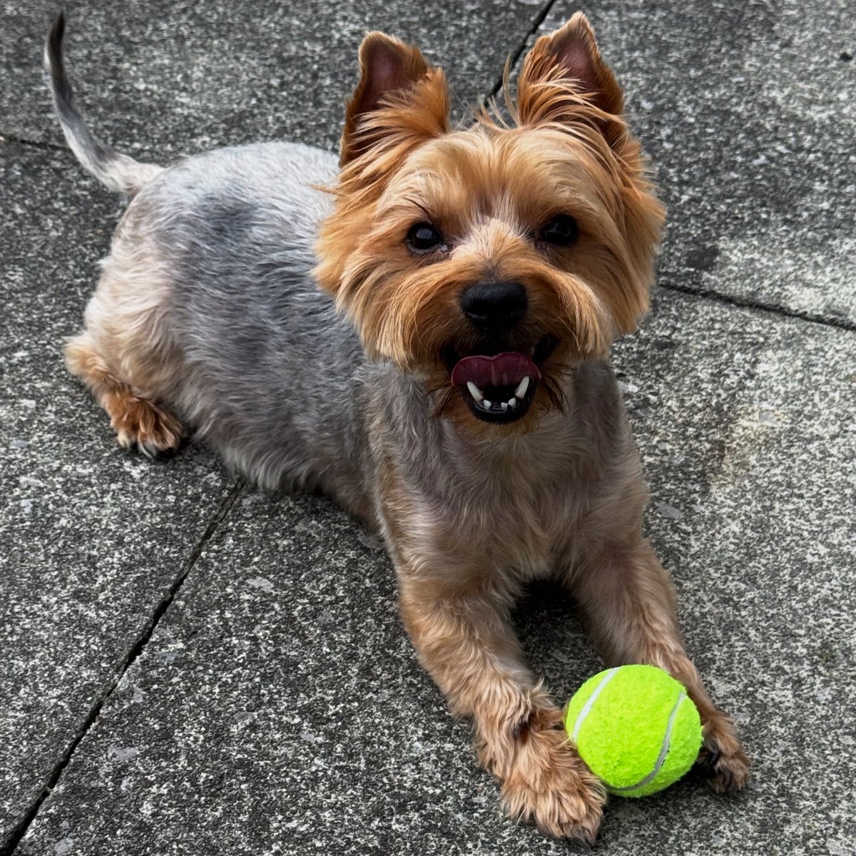 Paul Evans (@paulevans149) on Twitter photo 