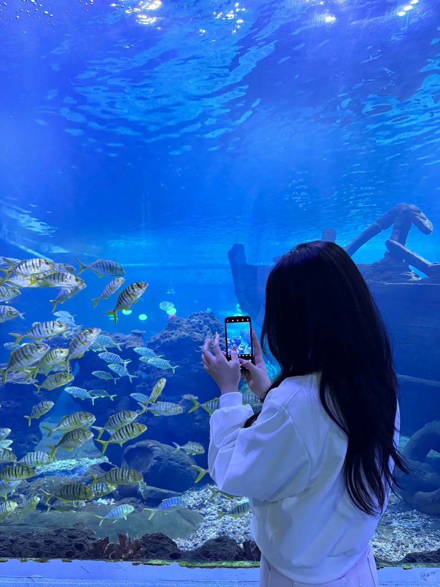 halisumar's tweet image. Sea life, stress-free life 🌊😊