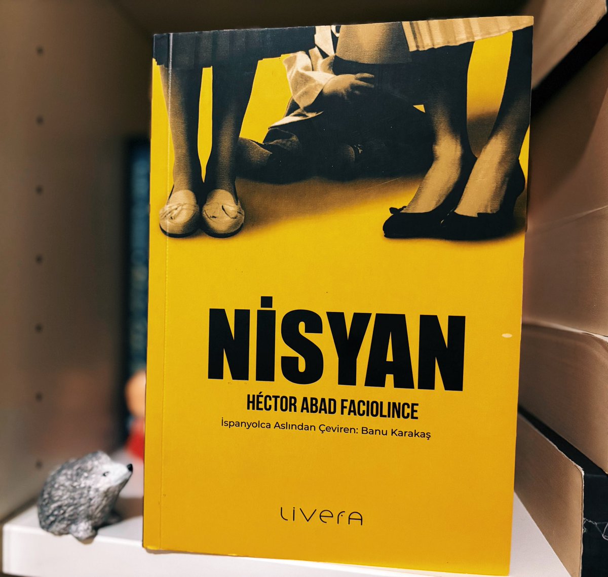"Sevdiklerimizi alıp götüren şey ölüm değil. Bilakis ölüm onları saklar, sevimli gençliklerinde sabitler ölüm. Sevgiyi dağıtıp mahveden şey ölüm değil, yaşamdır." 

• Nisyan, Héctor Abad Faciolince