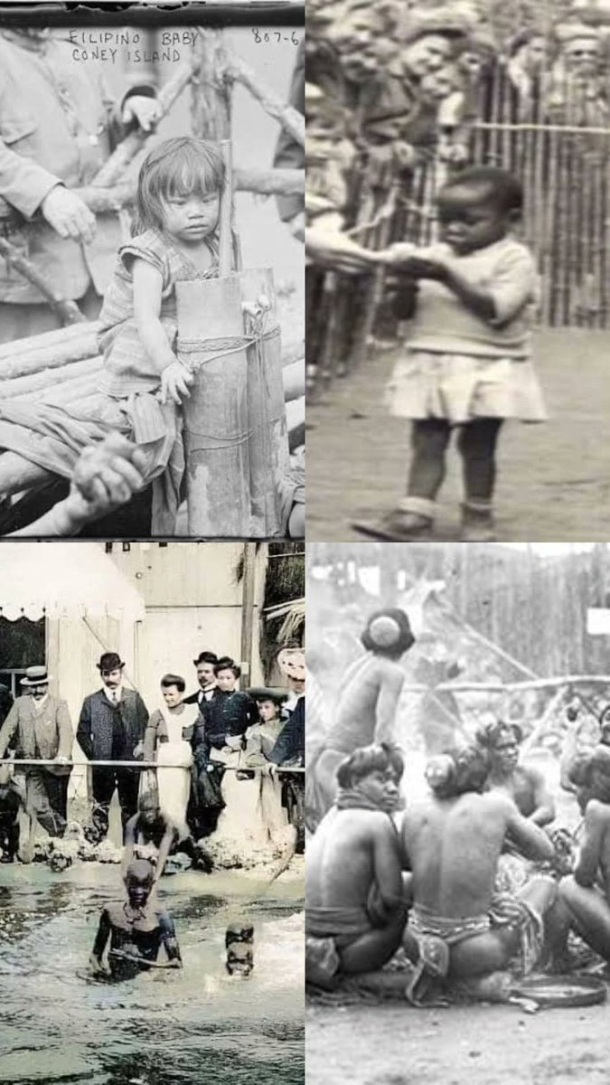 İnsanları köle olarak gören sistem hala sürüyor.

ABB, Ankara Atatürk Orman Çiftliği'nde bir hayvan hapishanesi açtı. Hayvanları köle olarak gören hapishaneler derhal kapatılmalıdır.

Hayvanlar mal, eğlence, yemek, seyirlik malzeme değildir! 
<a href="/mansuryavas06/">Mansur Yavaş</a>
<a href="/ankarabbld/">Ankara Büyükşehir</a>