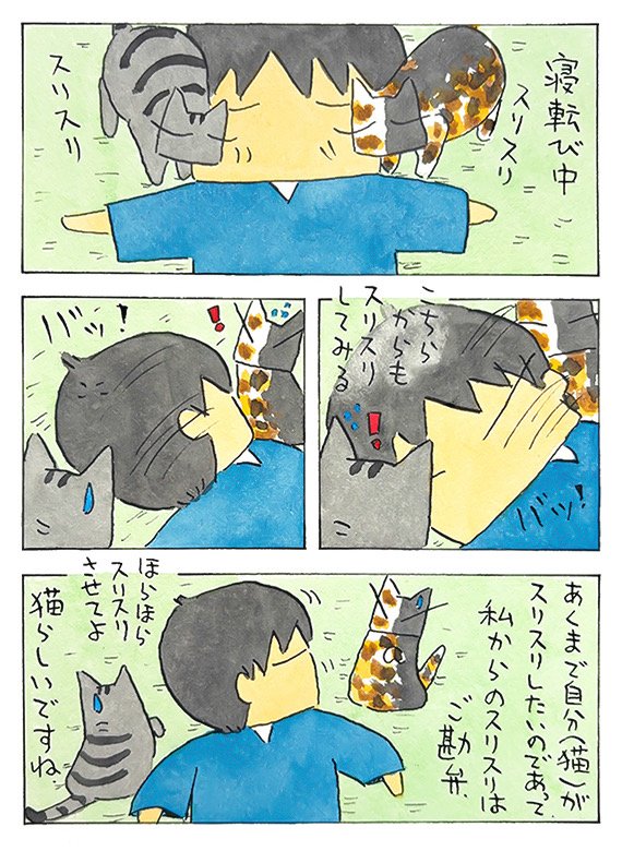 スリスリ話│フェリシモ猫部 https://t.co/6cH14ptKef 