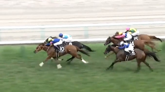 9月6日、当社育成馬サウンドモリアーナ(牝3、栗東・武英智厩舎、増田雄一様所有)が、札幌10R、札幌スポニチ杯（3歳以上2勝クラス、芝1200m）で、3勝目を挙げました！

増田様、武英智厩舎の皆様、優勝おめでとうございました！
kimurabokujo.com/%e6%9c%a8%e6%9…