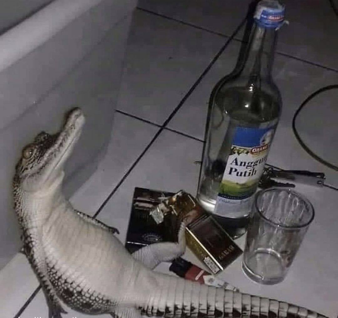 Jackson Kowar (@jacksonkowar) on Twitter photo 