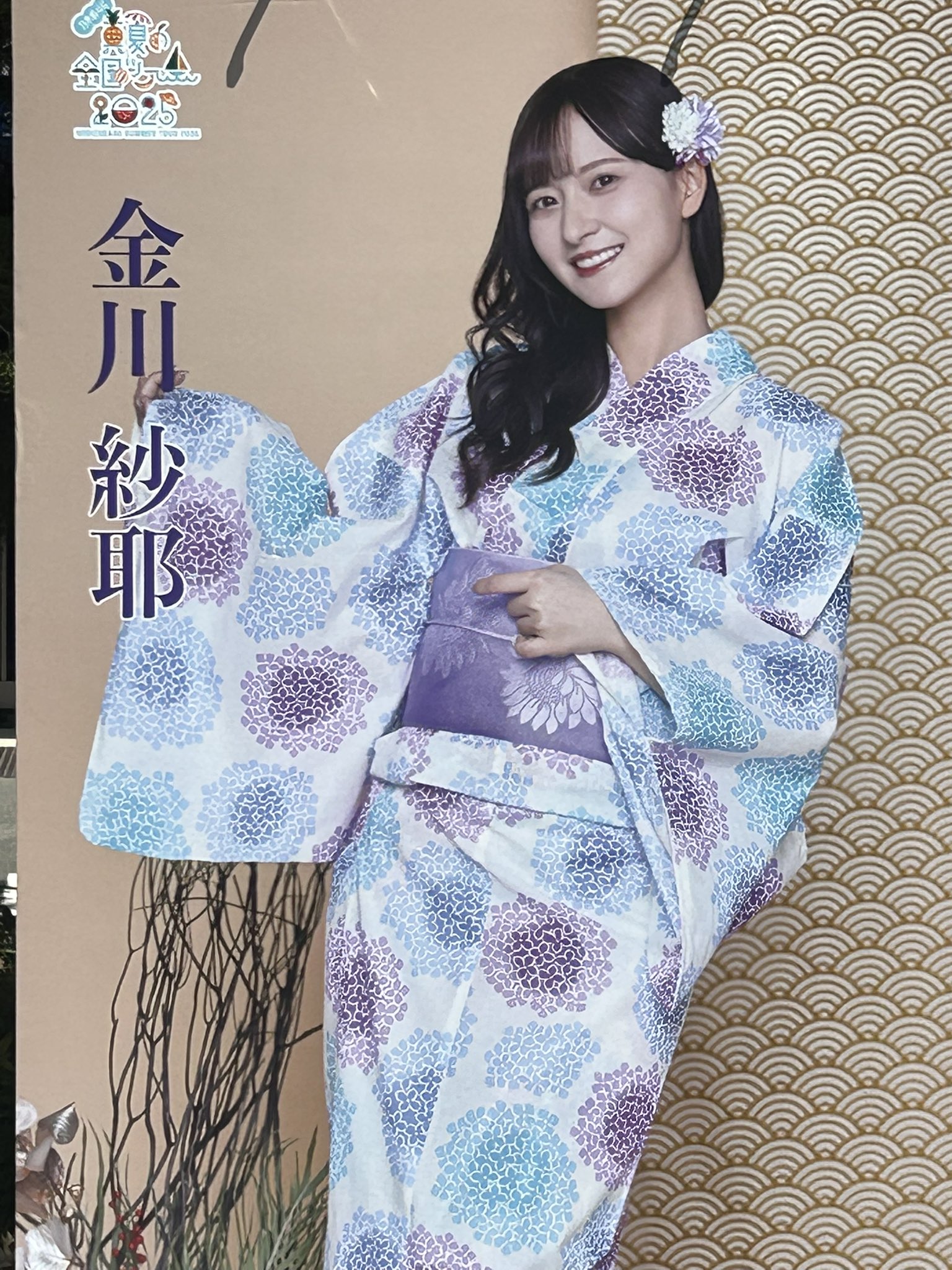 金川紗耶 浴衣 5種コンプ Amazon.co.jp: 金川紗耶 生写真 5種コンプ 全国ツアー 2023 浴衣