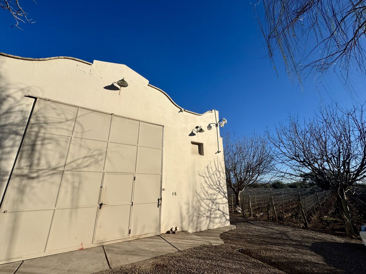 llegaste a bodega de angeles