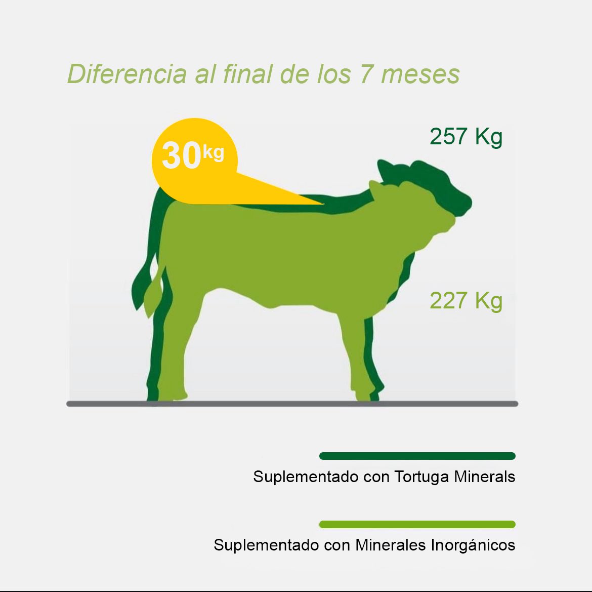 dsm_uy's tweet photo. FOSBOVINHO®️ PROTEICO ADE
- Acelera el desarrollo del rumen, aumentando su capacidad de ingestión y utilización de forraje.
- Proporciona los nutrientes necesarios en la fase crítica del desarrollo animal (entre dos y cuatro meses), suplementando la falta de leche de las vacas. https://t.co/7p4qVuE4tU