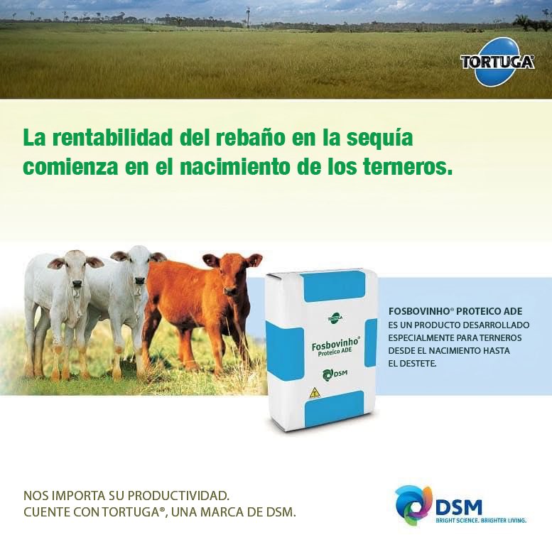 dsm_uy's tweet photo. FOSBOVINHO®️ PROTEICO ADE
- Acelera el desarrollo del rumen, aumentando su capacidad de ingestión y utilización de forraje.
- Proporciona los nutrientes necesarios en la fase crítica del desarrollo animal (entre dos y cuatro meses), suplementando la falta de leche de las vacas. https://t.co/7p4qVuE4tU