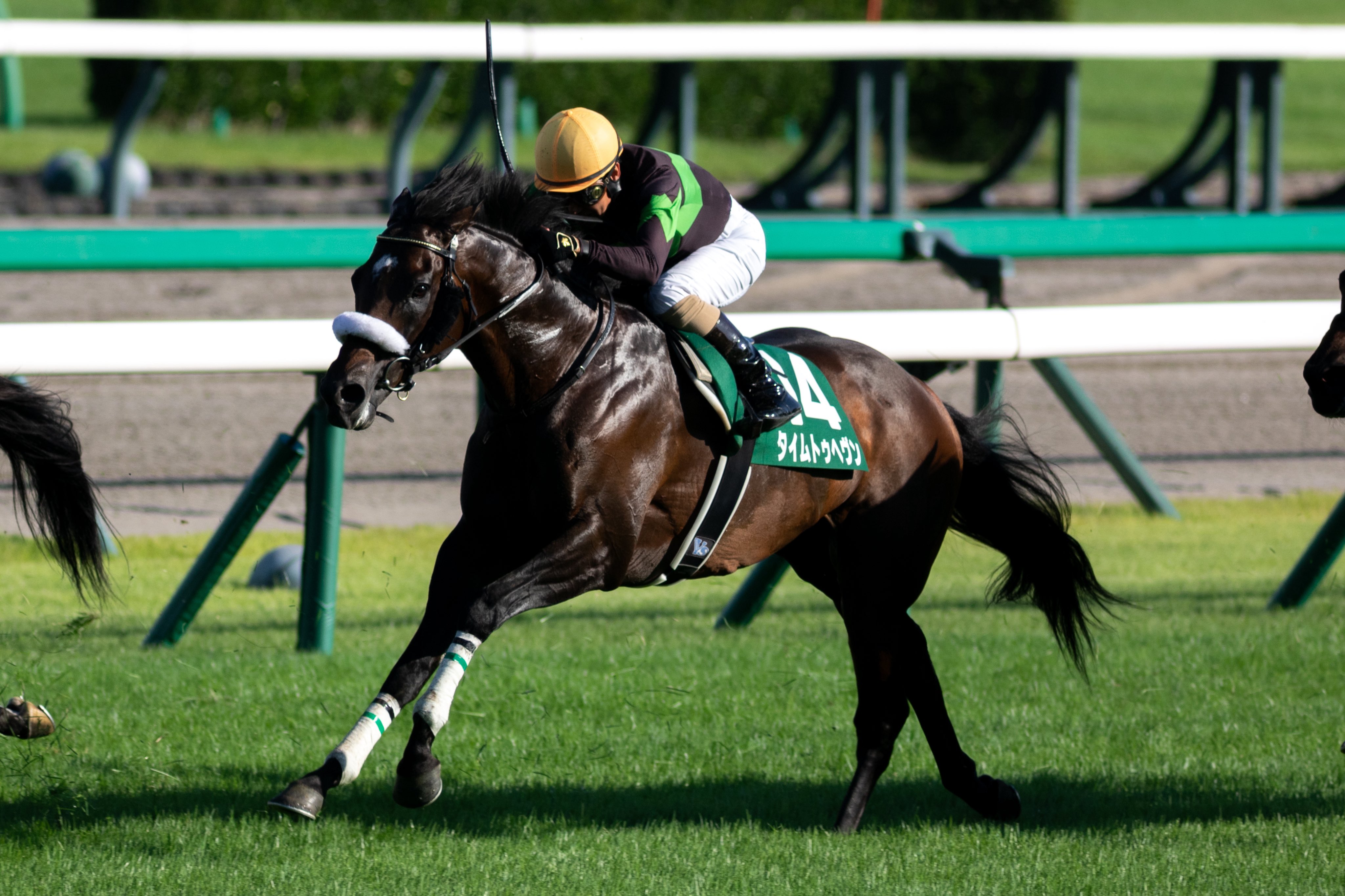 saTo. (@_sp__kabu193) / X