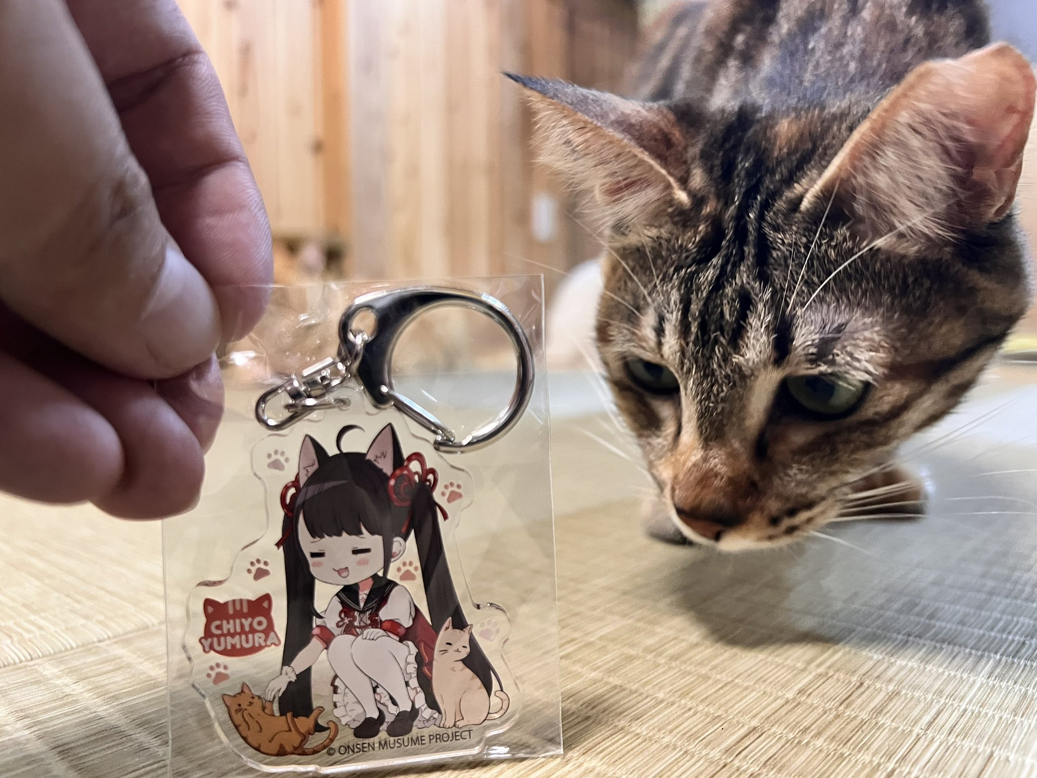 温泉むすめ 駅メモ アクリルキーホルダー セット 湯村千代 鳥羽亜矢海 温泉むすめ 駅メモ アクリルキーホルダー セット 湯村千代 鳥羽