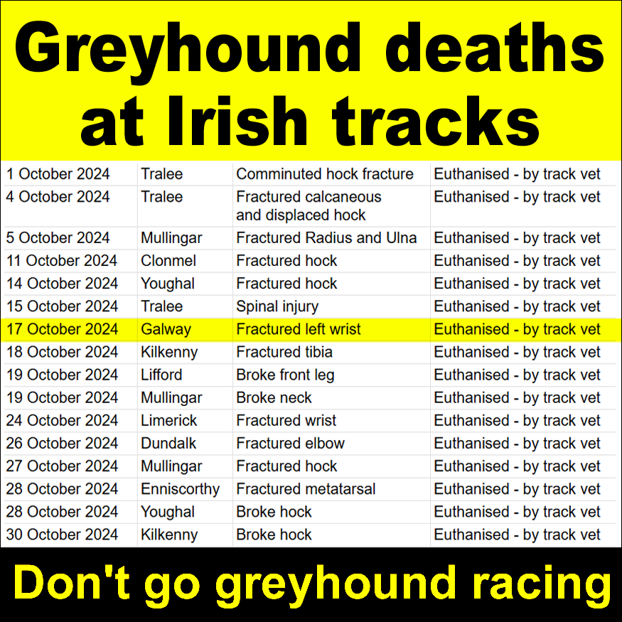 Ban Blood Sports tweet media