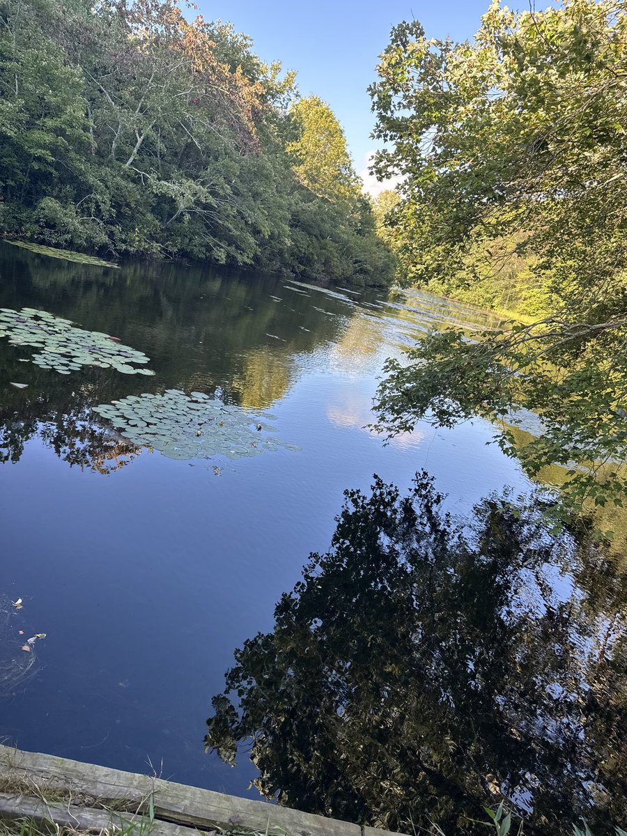 Sometimes relaxing is needed to make the brain feel at peace even for just a little while