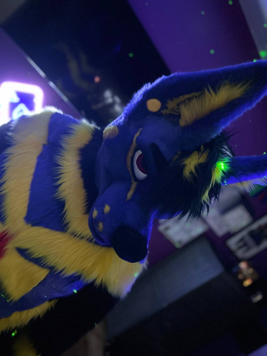 He’s a little shy 🥰

📸<a href="/Puppymow/">Puppymow 🔜 AqF</a> 
👔<a href="/MadeFurYou/">Made Fur You</a>