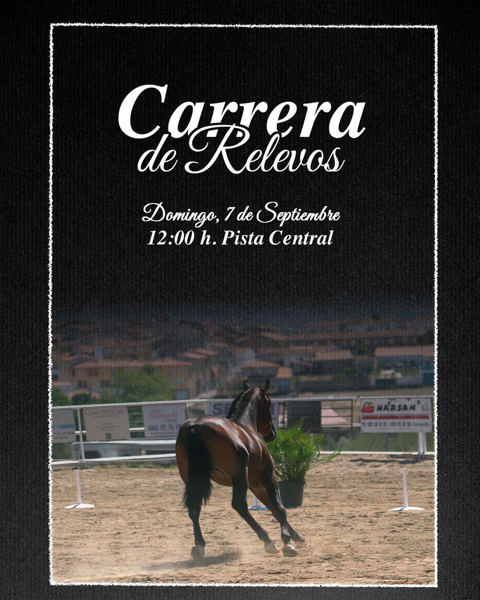 🐎 RUTA Y CARRERAS

🗓️ Domingo 7 de septiembre
* 09:00 h. Ruta Ecuestre, Salida desde la Dehesa
* 11:00 h. Carrera de Cintas
* 12:00 h. Carrera de Relevos | 14:00 h. Entrega de premios

📍Las Carreras se desarrollarán en la Pista Central

📲 #EcuestreTorrejoncillo2025