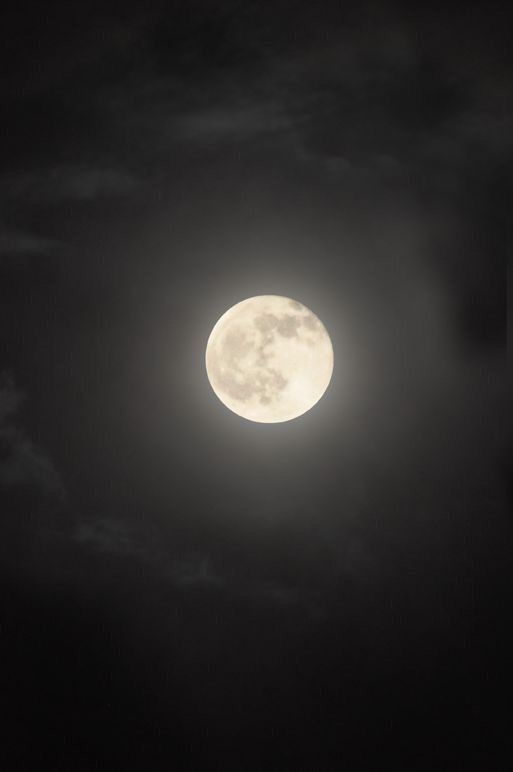 Muchas personas ven 
la misma luna, pero hay 
noches en las que esa luna 
no es para todos, 
es solo para dos.
