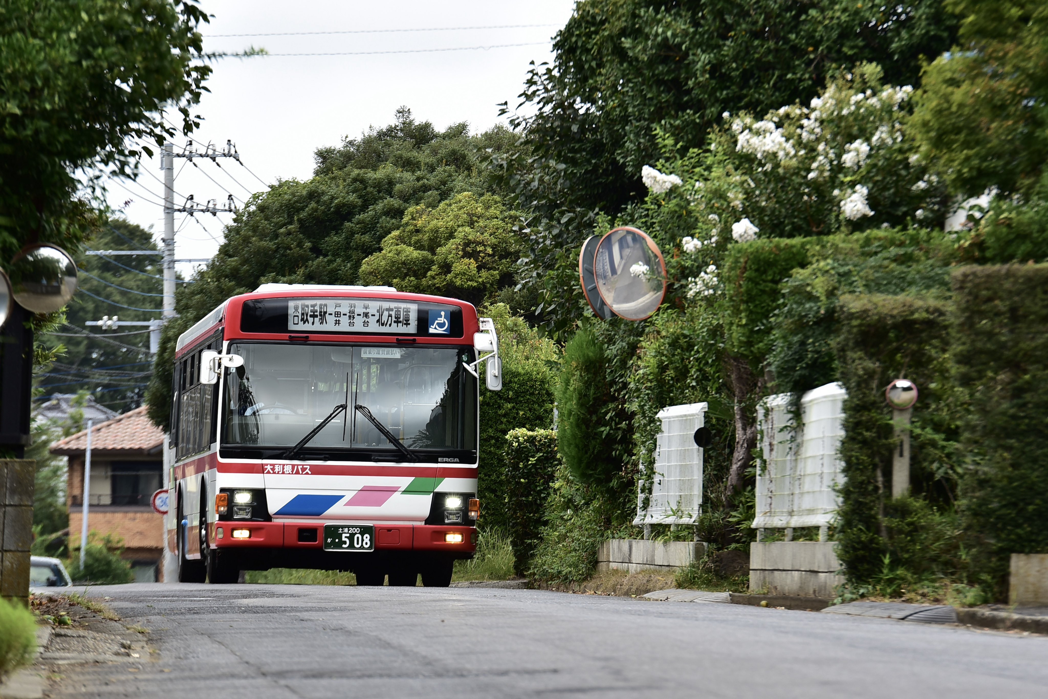 4m日の出鶴柄吹き流し つくし工房 640-S ファインメッシュ吹き流し 小サイズ 300×450