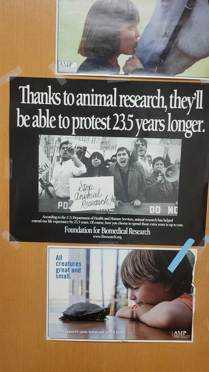 DrFarazHarsini's tweet image. ⚠️ At Texas A&amp;amp;M, animals are tortured for nothing.

🐾 Dr. Faraz Harsini’s investigation at the university’s animal lab revealed the dark reality behind closed doors. The horrifying environments animals are forced into, the misleading propaganda displayed around the facility.…