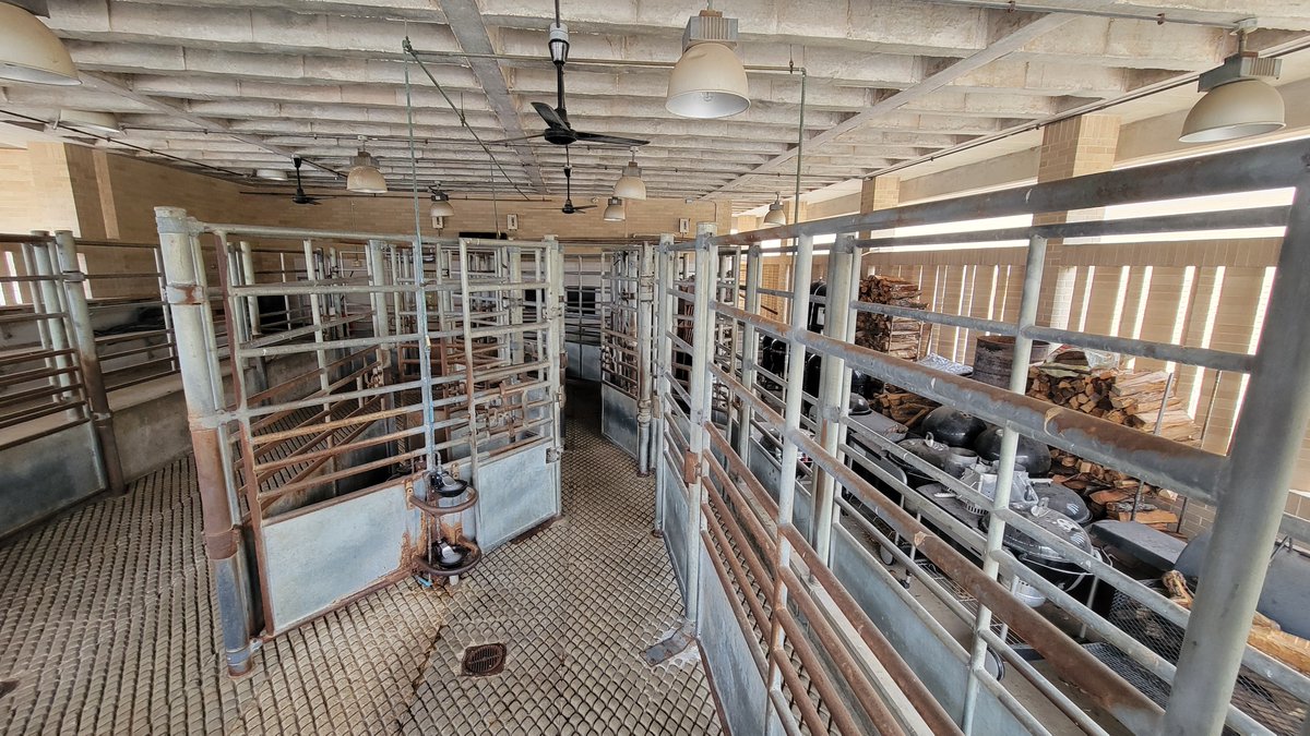 DrFarazHarsini's tweet image. ⚠️ At Texas A&amp;amp;M, animals are tortured for nothing.

🐾 Dr. Faraz Harsini’s investigation at the university’s animal lab revealed the dark reality behind closed doors. The horrifying environments animals are forced into, the misleading propaganda displayed around the facility.…