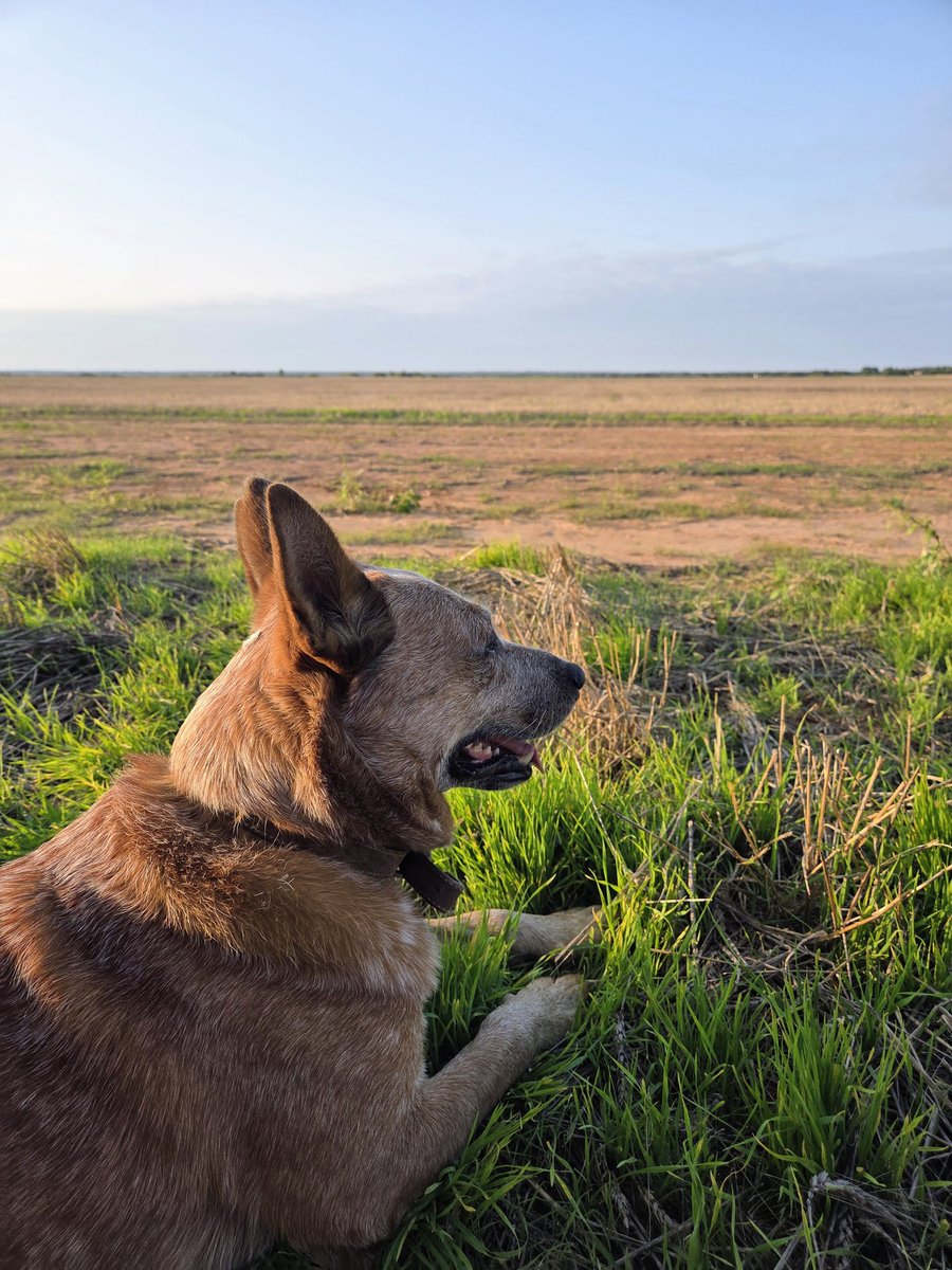 Drake Gard (@drakegard1) on Twitter photo 