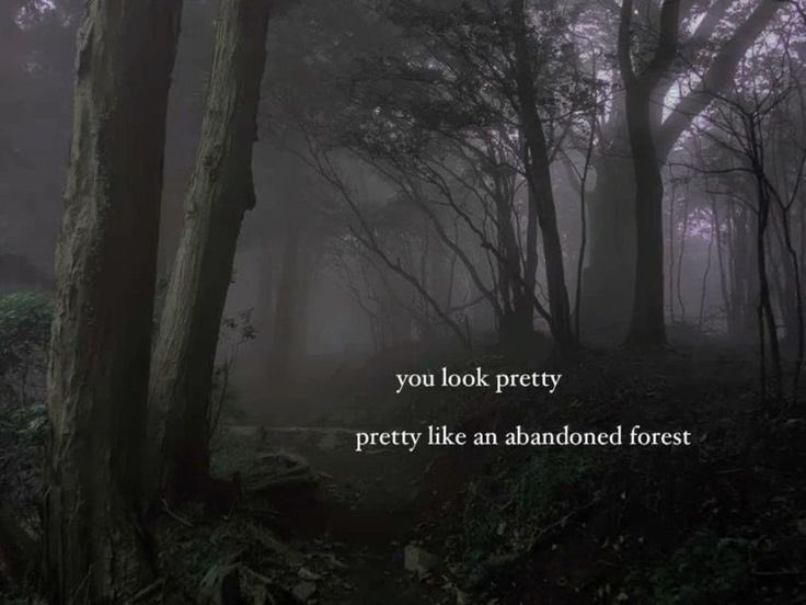 nic ♥︎ tweet media