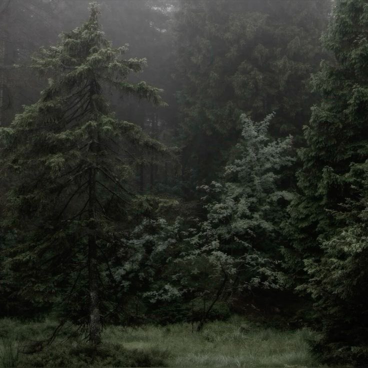 nic ♥︎ tweet media